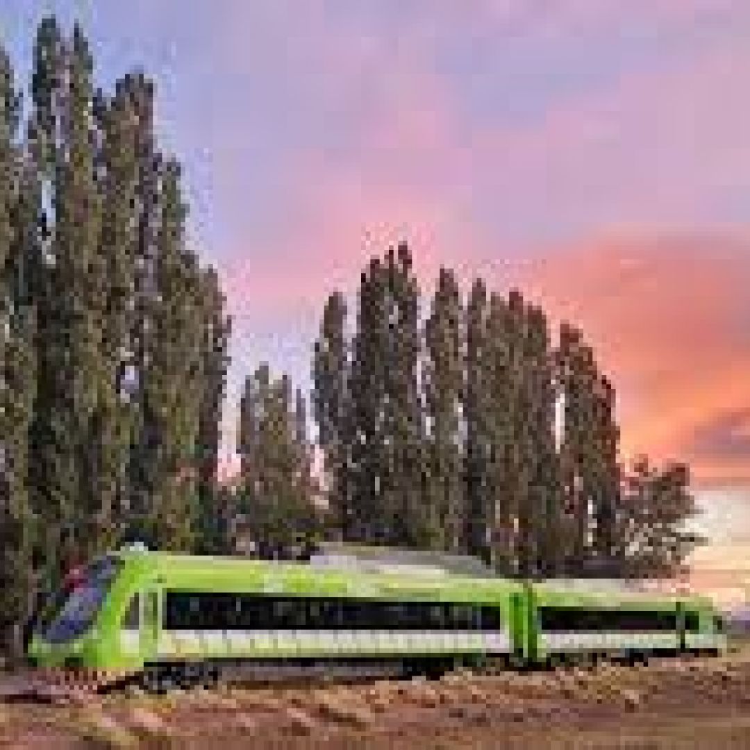 tren-patagonico-51
